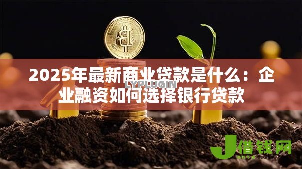 2025年最新商业贷款是什么:企业融资如何选择银行贷款 2025年最新商业贷款是什么:企业融资如何选择银行贷款