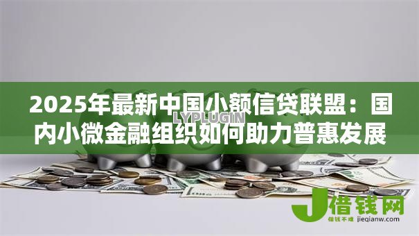 2025年最新中国小额信贷联盟：国内小微金融组织如何助力普惠发展