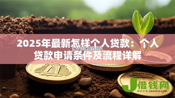 2025年最新怎样个人贷款：个人贷款申请条件及流程详解