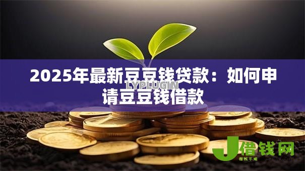 2025年最新豆豆钱贷款：如何申请豆豆钱借款