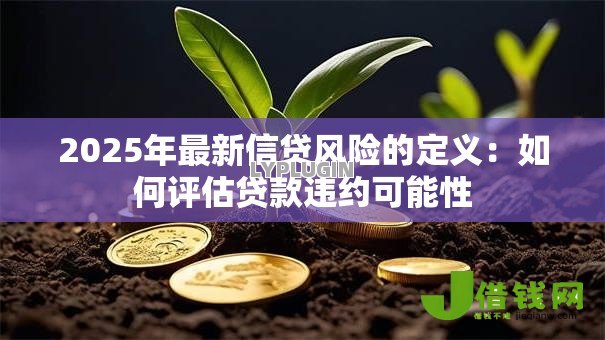 2025年最新信贷风险的定义:如何评估贷款违约可能性 2025年最新信贷风险的定义:如何评估贷款违约可能性