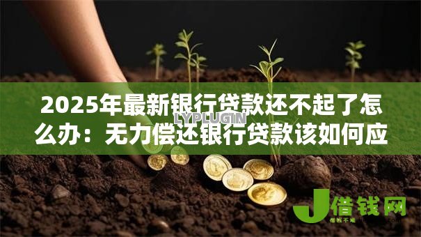 2025年最新银行贷款还不起了怎么办：无力偿还银行贷款该如何应对