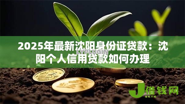 2025年最新沈阳身份证贷款:沈阳个人信用贷款如何办理 2025年最新沈阳身份证贷款:沈阳个人信用贷款如何办理