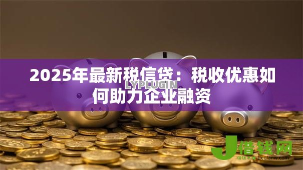2025年最新税信贷：税收优惠如何助力企业融资