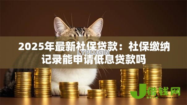 2025年最新社保贷款：社保缴纳记录能申请低息贷款吗
