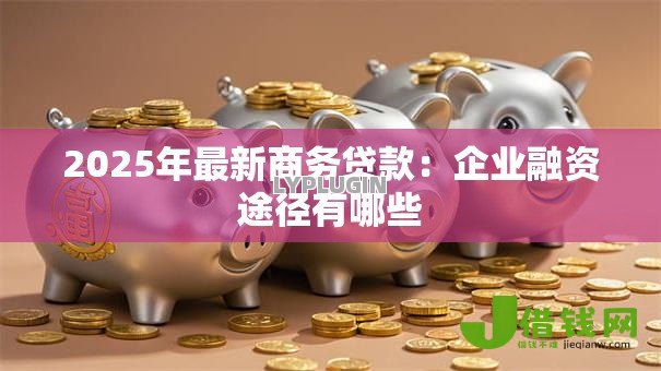 2025年最新商务贷款：企业融资途径有哪些