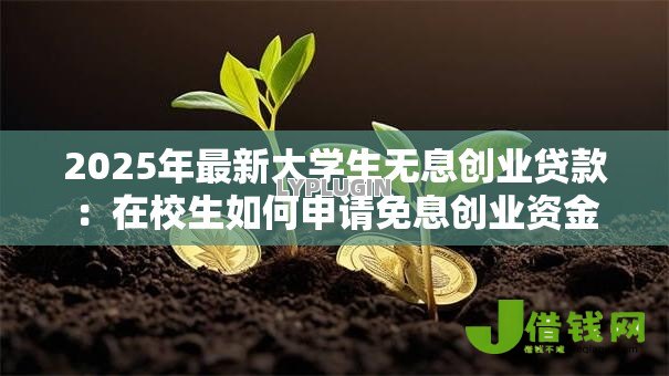 2025年最新大学生无息创业贷款：在校生如何申请免息创业资金
