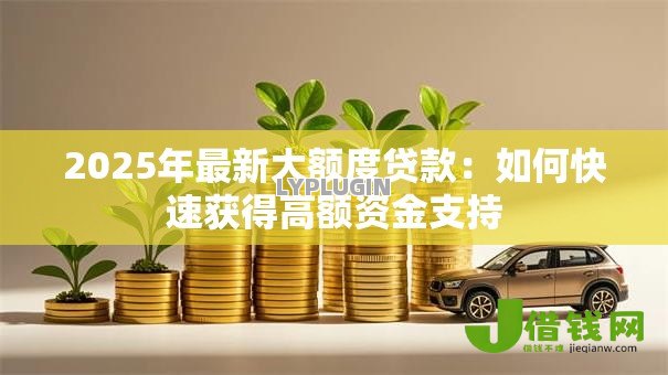 2025年最新大额度贷款:如何快速获得高额资金支持 2025年最新大额度贷款:如何快速获得高额资金支持