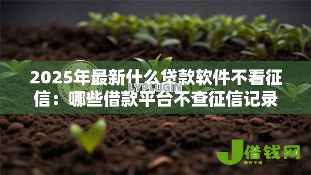 2025年最新什么贷款软件不看征信:哪些借款平台不查征信记录 2025年最新什么贷款软件不看征信:哪些借款平台不查征信记录