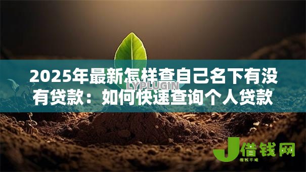 2025年最新怎样查自己名下有没有贷款：如何快速查询个人贷款记录