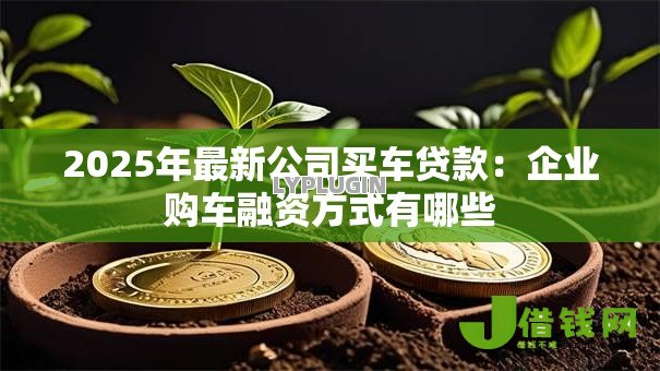 2025年最新公司买车贷款：企业购车融资方式有哪些