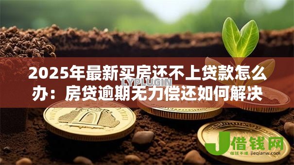 2025年最新买房还不上贷款怎么办:房贷逾期无力偿还如何解决 2025年最新买房还不上贷款怎么办:房贷逾期无力偿还如何解决