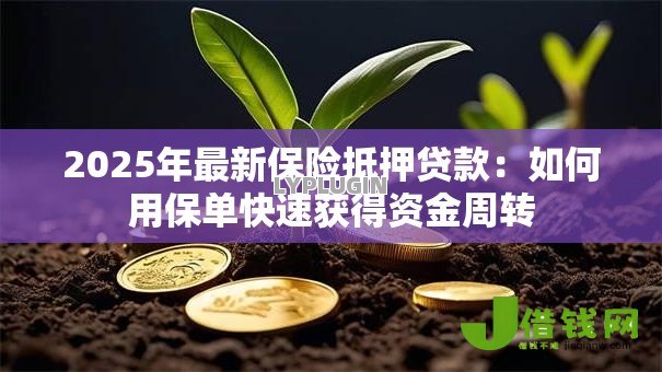 2025年最新保险抵押贷款：如何用保单快速获得资金周转