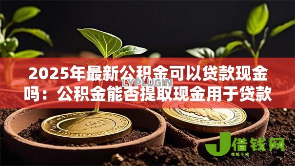 2025年最新公积金可以贷款现金吗:公积金能否提取现金用于贷款 2025年最新公积金可以贷款现金吗:公积金能否提取现金用于贷款