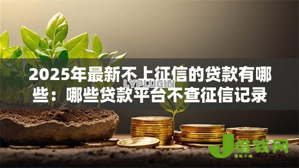 2025年最新不上征信的贷款有哪些：哪些贷款平台不查征信记录