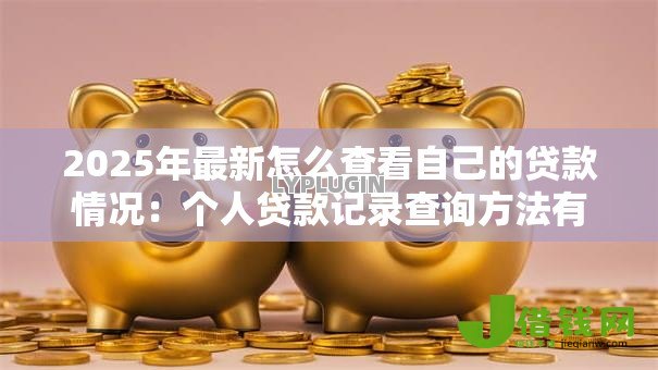 2025年最新怎么查看自己的贷款情况:个人贷款记录查询方法有哪些 2025年最新怎么查看自己的贷款情况:个人贷款记录查询方法有哪些