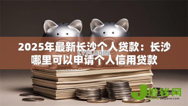 2025年最新长沙个人贷款:长沙哪里可以申请个人信用贷款 2025年最新长沙个人贷款:长沙哪里可以申请个人信用贷款