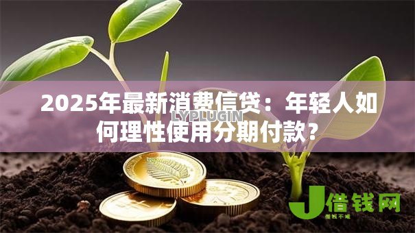 2025年最新消费信贷:年轻人如何理性使用分期付款? 2025年最新消费信贷:年轻人如何理性使用分期付款?