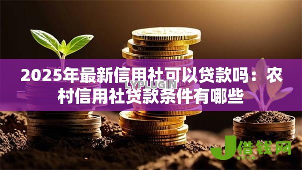 2025年最新信用社可以贷款吗：农村信用社贷款条件有哪些