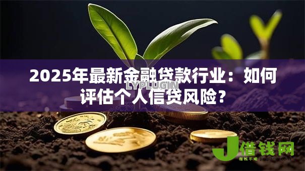 2025年最新金融贷款行业：如何评估个人信贷风险？