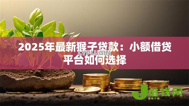 2025年最新猴子贷款：小额借贷平台如何选择