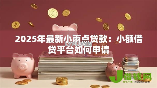 2025年最新小雨点贷款：小额借贷平台如何申请