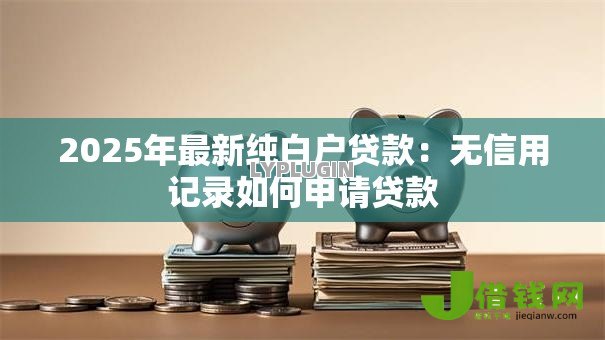 2025年最新纯白户贷款：无信用记录如何申请贷款