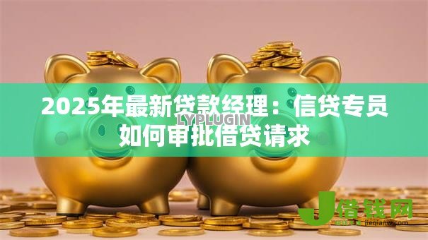 2025年最新贷款经理：信贷专员如何审批借贷请求