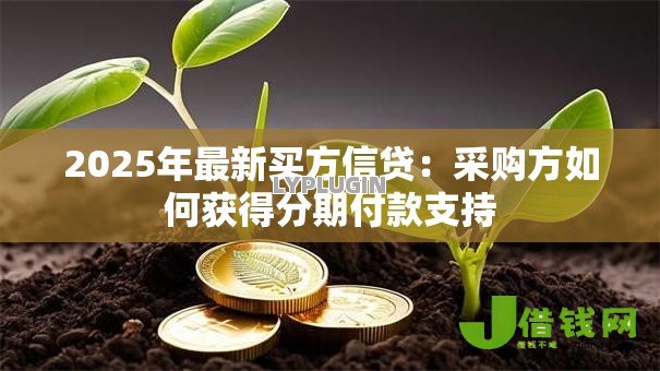 2025年最新买方信贷：采购方如何获得分期付款支持