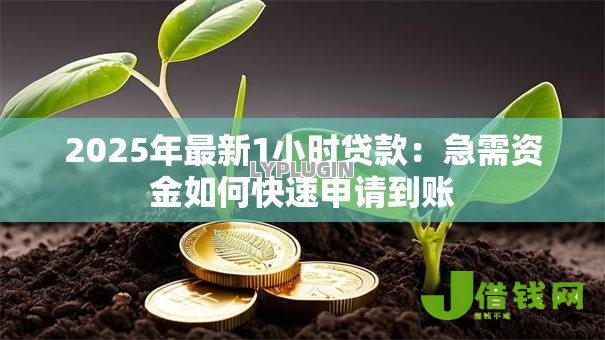 2025年最新1小时贷款:急需资金如何快速申请到账 2025年最新1小时贷款:急需资金如何快速申请到账