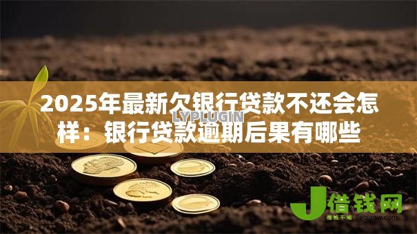 2025年最新欠银行贷款不还会怎样:银行贷款逾期后果有哪些 2025年最新欠银行贷款不还会怎样:银行贷款逾期后果有哪些