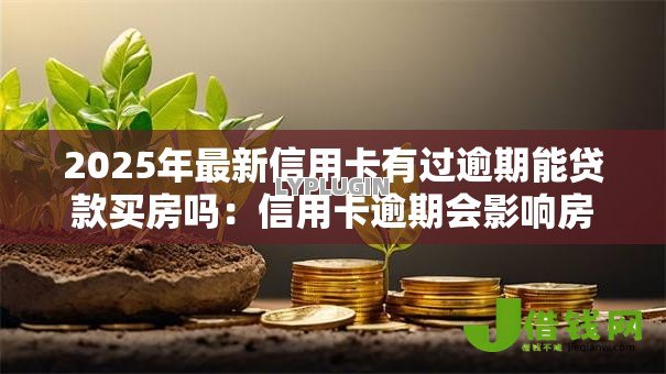 2025年最新信用卡有过逾期能贷款买房吗:信用卡逾期会影响房贷审批吗 2025年最新信用卡有过逾期能贷款买房吗:信用卡逾期会影响房贷审批吗