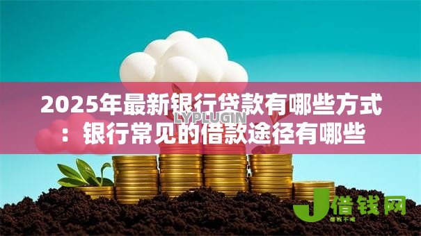 2025年最新银行贷款有哪些方式:银行常见的借款途径有哪些 2025年最新银行贷款有哪些方式:银行常见的借款途径有哪些