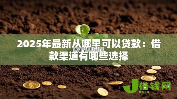 2025年最新从哪里可以贷款：借款渠道有哪些选择