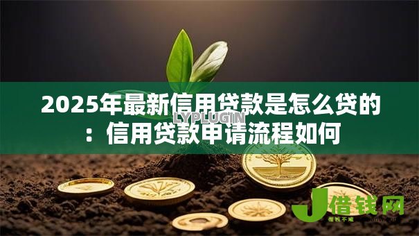 2025年最新信用贷款是怎么贷的：信用贷款申请流程如何