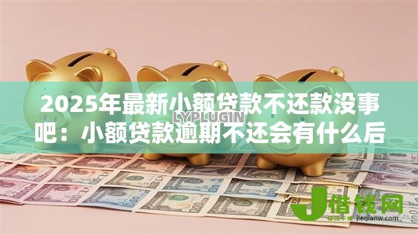 2025年最新小额贷款不还款没事吧：小额贷款逾期不还会有什么后果