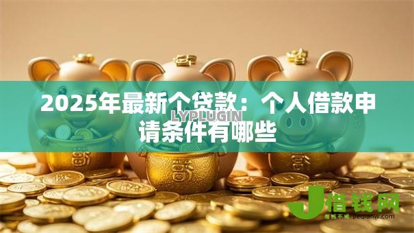 2025年最新个贷款：个人借款申请条件有哪些