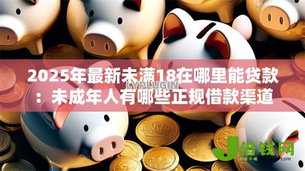 2025年最新未满18在哪里能贷款:未成年人有哪些正规借款渠道 2025年最新未满18在哪里能贷款:未成年人有哪些正规借款渠道