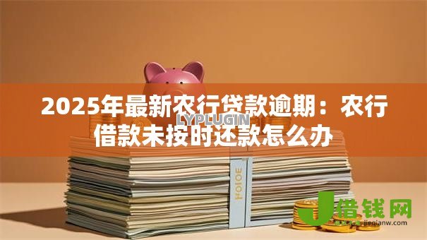 2025年最新农行贷款逾期：农行借款未按时还款怎么办
