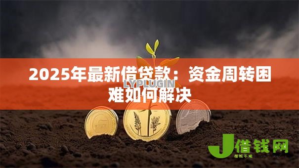 2025年最新借贷款：资金周转困难如何解决