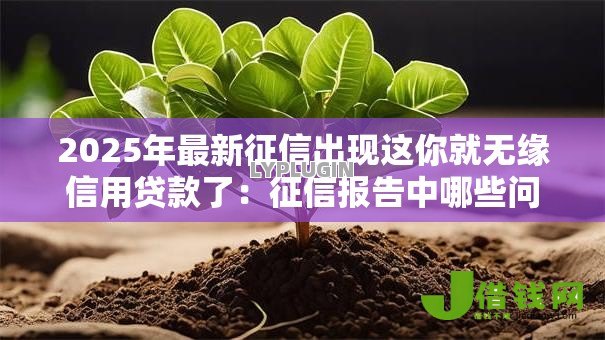 2025年最新征信出现这你就无缘信用贷款了:征信报告中哪些问题会导致贷款被拒 2025年最新征信出现这你就无缘信用贷款了:征信报告中哪些问题会导致贷款被拒