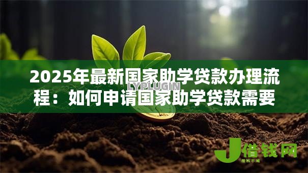 2025年最新国家助学贷款办理流程：如何申请国家助学贷款需要哪些步骤