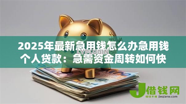 2025年最新急用钱怎么办急用钱个人贷款：急需资金周转如何快速申请个人贷款