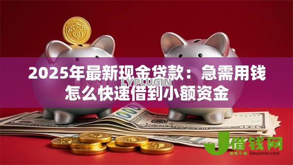 2025年最新现金贷款：急需用钱怎么快速借到小额资金