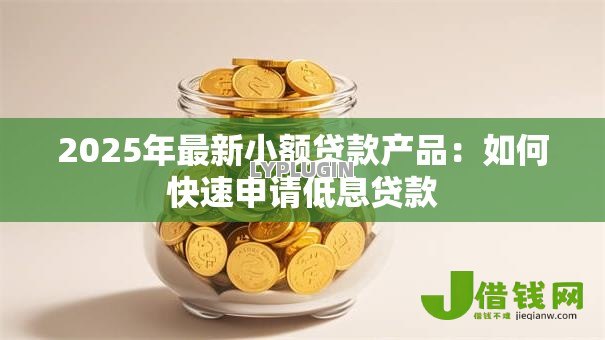 2025年最新小额贷款产品:如何快速申请低息贷款 2025年最新小额贷款产品:如何快速申请低息贷款