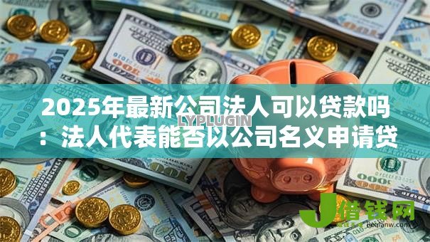 2025年最新公司法人可以贷款吗：法人代表能否以公司名义申请贷款
