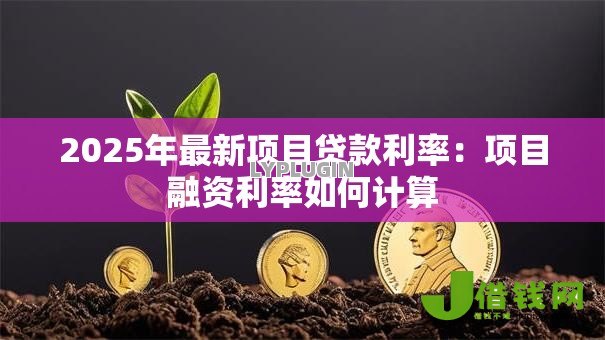 2025年最新项目贷款利率:项目融资利率如何计算 2025年最新项目贷款利率:项目融资利率如何计算