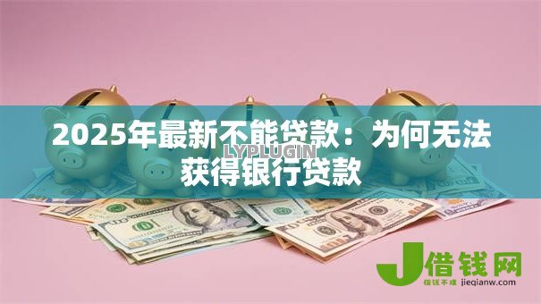2025年最新不能贷款:为何无法获得银行贷款 2025年最新不能贷款:为何无法获得银行贷款