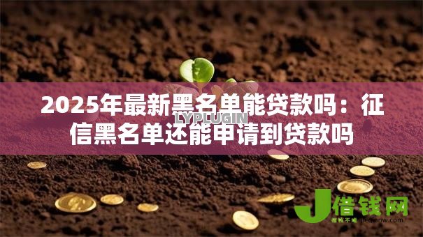 2025年最新黑名单能贷款吗:征信黑名单还能申请到贷款吗 2025年最新黑名单能贷款吗:征信黑名单还能申请到贷款吗