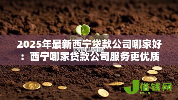 2025年最新西宁贷款公司哪家好：西宁哪家贷款公司服务更优质